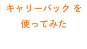 キャリーバッグ を使ってみた