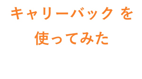 キャリーバック を使ってみた
