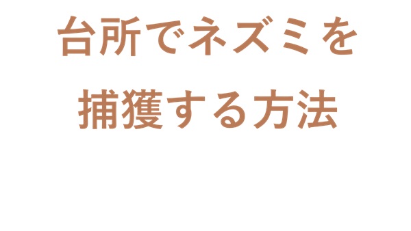 台所でネズミを捕獲する方法