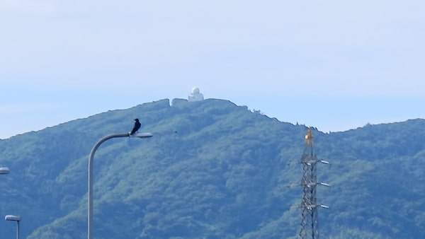 望遠