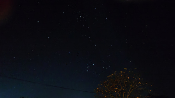 Xperia1Ⅷで星空 柿の木と星空